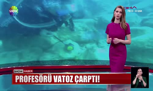 Profesörü vatoz çarptı!