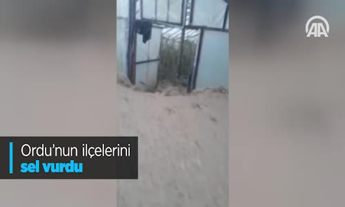 Ordu'nun İlçelerini Sel Vurdu