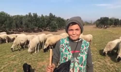 Muhabbetiyle Hayran Bırakan Küçük Çoban 