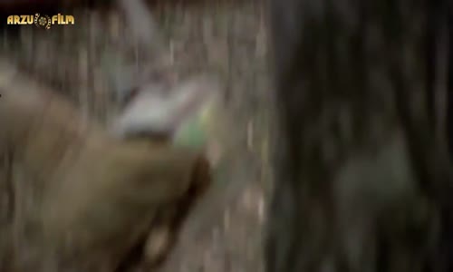 Hababam Sınıfı Tatilde   Çadır Kurma