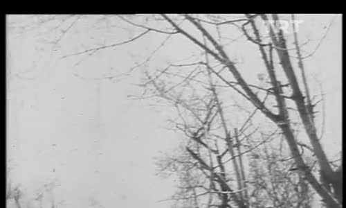 Ali Ekber Çiçek-Yastadır Ey Deli Gönül Yastadır izle