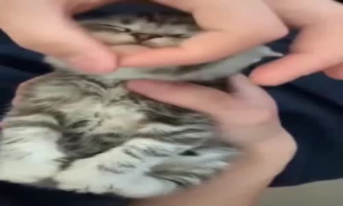 Titrettin Beni Ablası