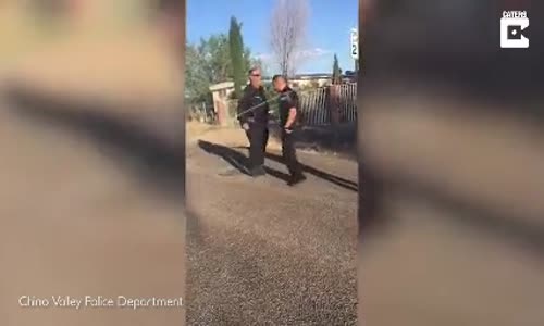 İp Atlayan Polislerin Eğlenceli Anları 