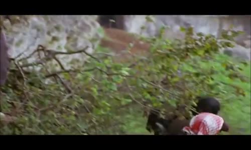 Salako - Biçer Döver