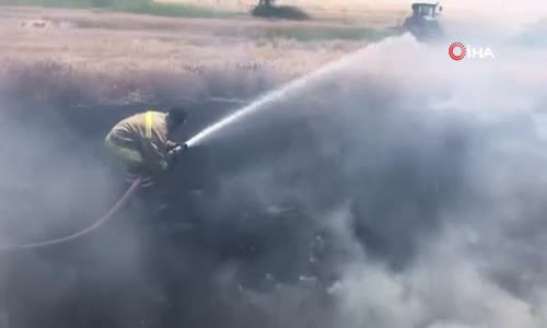 Mardin’de 200 dönüm ekili alan kül oldu 