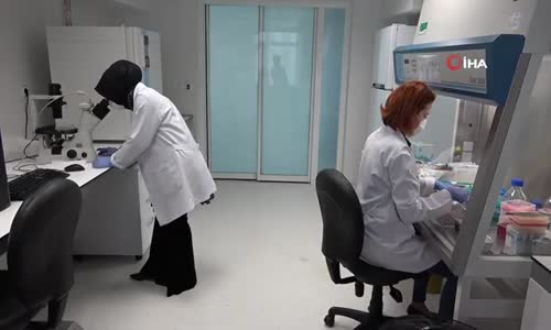 Kök Hücre İle Kısırlığa Çare-