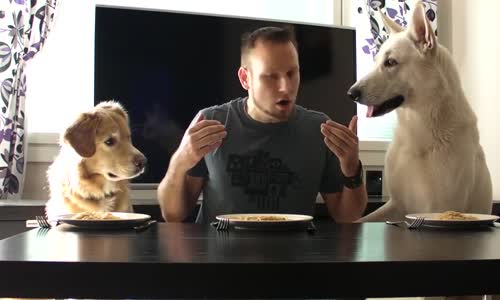 Köpekleriyle Spagetti Yeme Yarışına Giren Adam