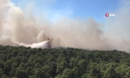 Fransa'daki orman yangınlarında yaklaşık 4 bin hektar alan kül oldu 