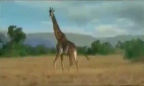 Armut Piş Ağzıma Düş ancak bu kadar yerinde olurdu :))