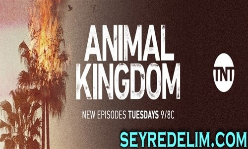 Animal Kingdom 3. Sezon Tanıtım Fragmanı