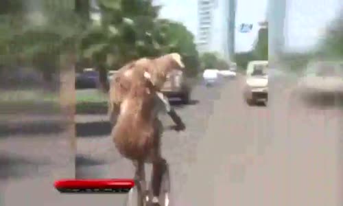 Gören Bir Daha Baktı  Bisikletle 2 Kurbanlık Taşıdı 