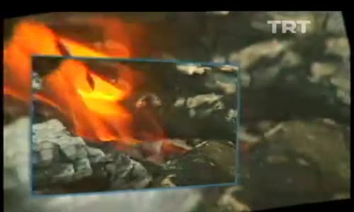 Gezelim Görelim Muğla Bodrum