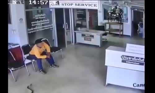 Başka bir yılan ısırığına hoş geldiniz