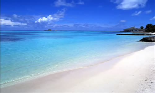 Muazzez Abacı O Bilmiyor