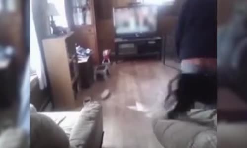 Sahibinin Oturmasını İstemeyen Köpek 