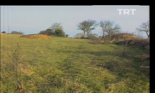 Barış Manço-Osman izle