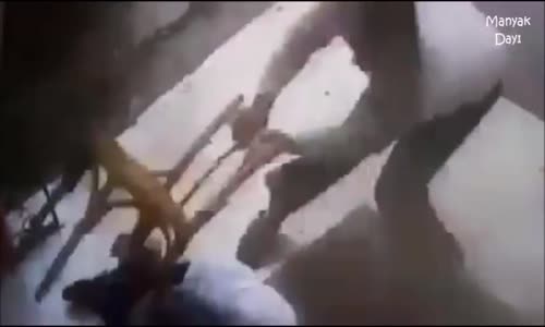 Adamı Nakavt Eden Psikopat Kedi