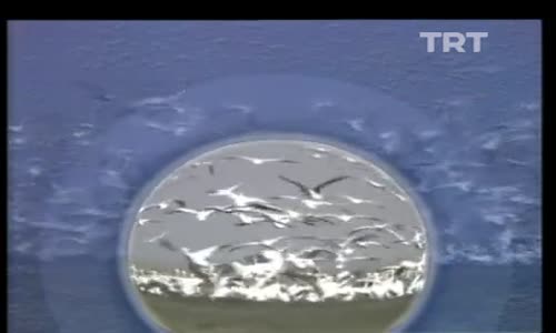 Türkü Türkü Türkiyem 4.Bölüm