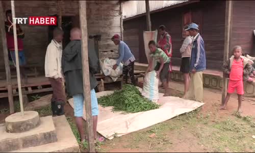 Vanilya İçin Tehlike Çanları Çalıyor