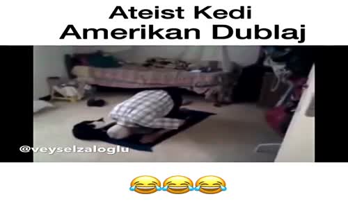 Ateist Kedi - Amerikan Dublaj