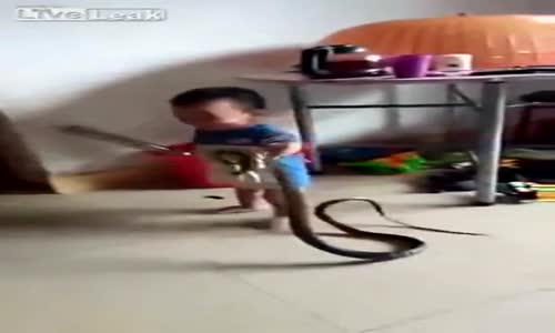 Yılanla Oyun Oynayan Minik Çocuk