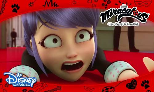 Uğur Böceği ile Kara Kedi - Sizi Gidi Şapşikler