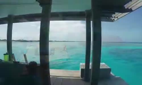 Beni Buraya Gönderin bir Daha'da Aramayın