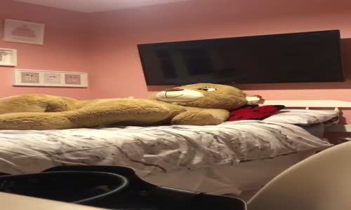 Ayı Kostümü Giyerek Kızını Korkutan Anne