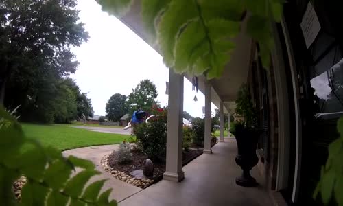 Çığlık Atarak Sipariş Teslim Eden Kurya