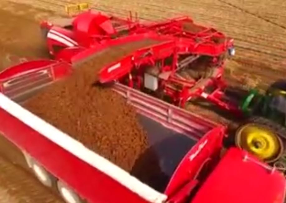 Amerika'da Patates Nasıl Toplanır?