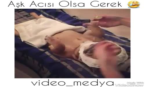 Aşk Acısı Çeken Köpek