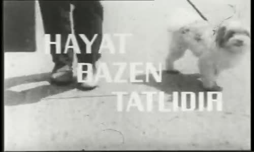 Hayat Bazen Tatlıdır
