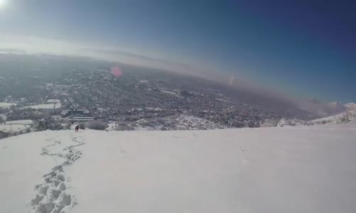 Uçurumda Mahsur Kalmış Beagle Köpeği Kurtarma