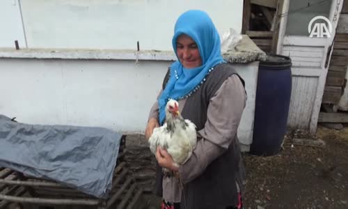 Örnek Girişimci Kadının Hayalini 'Yeşil Yumurta' Tesisi Süslüyor