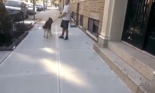 Eve gitmek İstemiyorum Numarası