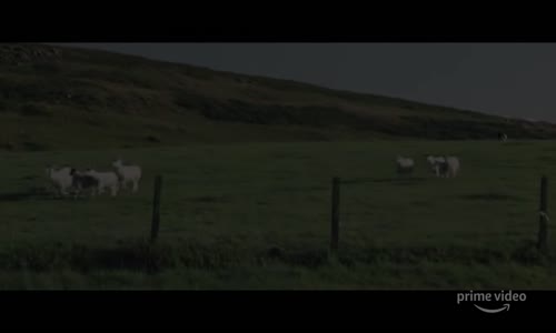 GET DUKED! Trailer (2020) 