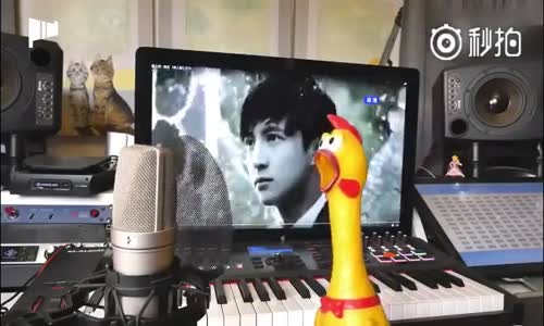 Şarkı Söyleyen Tavuk 