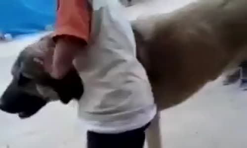 Kangalın Sabrını Zorlayan Ufaklık