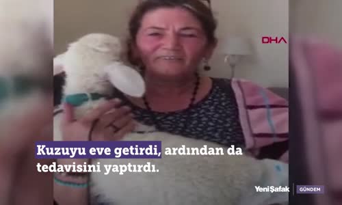 Kuzusunu Bezleyip Bankaya Götürdü