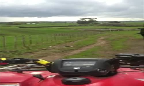 ATV Motora Saldıran Kızgın Boğa