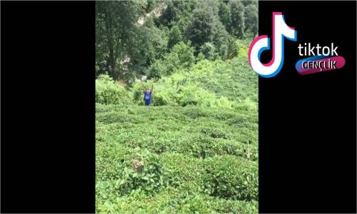 Karadeniz Rüzgarları TikTok Videoları
