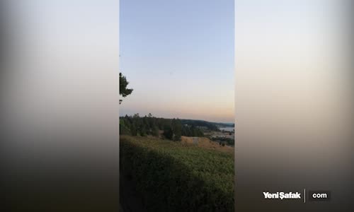 Genç Havaalanı Çalışanı Uçak Çalıp Adaya Düşürdü