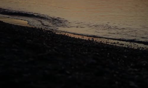 Grup Tillo - Umut Dolu Yarınlar