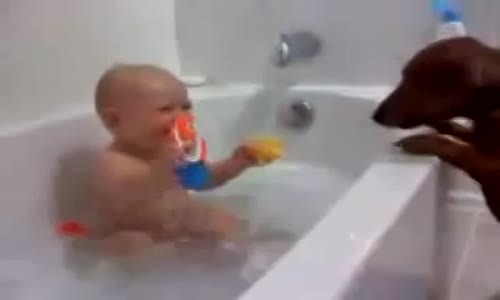 Banyodaki Köpek Ve Bebeğin Oyunu