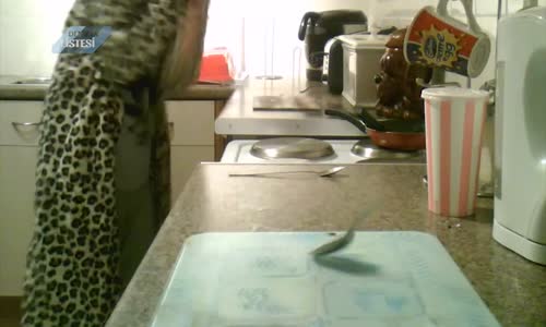 İzlediğinizde Tüylerinizi Ürpertecek 10 Video 