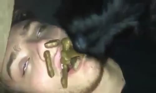 Uyuyan Adamın Ağzına Burnuna Köpek Maması Sokmak