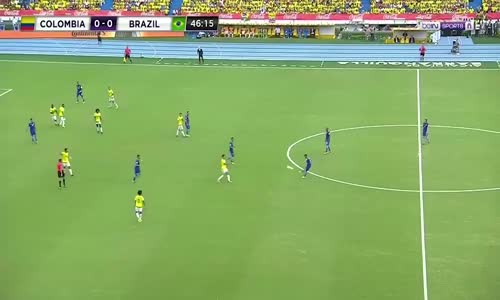 Brezilyalı Yıldız Örümcek Ağlarını Aldı!