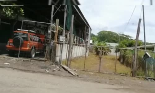 Limon Hırsızının Elektrikli Telle İmtihanı 