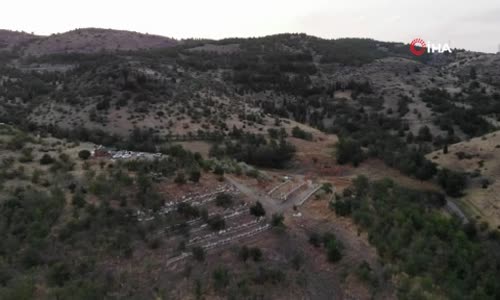 10 çeşit bitkiden elde edilen her derde deva balın kilosu 100 lira 