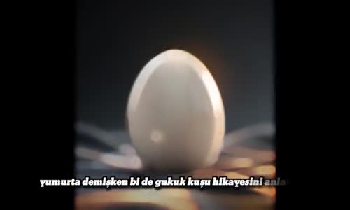 İçimizdeki Guguk Kuşları